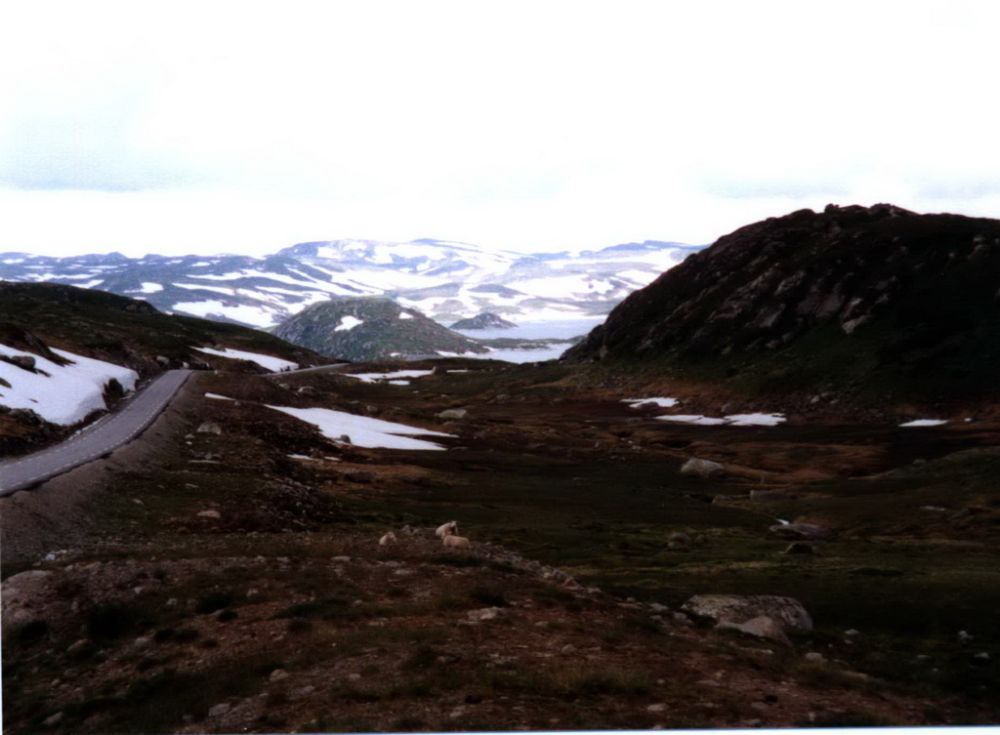 Skandinavien 2000-40