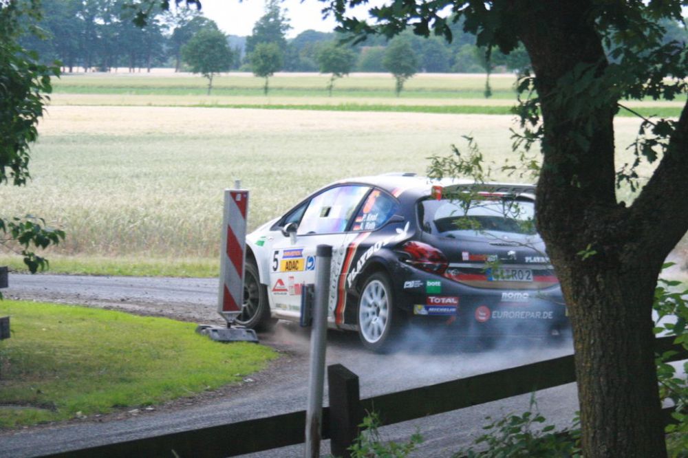 Stemweder Berg 2017-32
