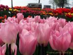 DSCF3530 1024