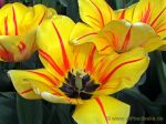 DSCF3549 1024
