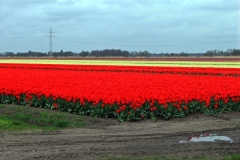 Für größeres Bild bitte klicken!