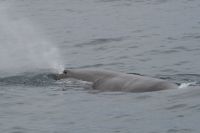 Für größeres Bild bitte klicken!