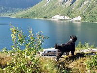 Für größeres Bild bitte klicken!