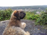 F&uuml;r gr&ouml;&szlig;eres Bild bitte klicken!