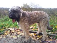 F&uuml;r gr&ouml;&szlig;eres Bild bitte klicken!