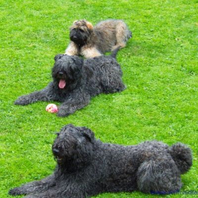 Für größeres Bild bitte klicken!