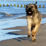 F&uuml;r gr&ouml;&szlig;eres Bild bitte klicken!