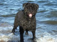 Für größeres Bild bitte klicken!